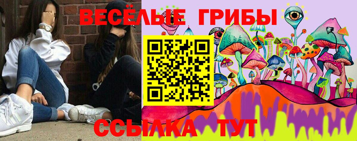 Галлюциногенные грибы Cubensis  где купить наркоту  Камень-на-Оби  Псилоцибиновые грибы мухоморы  Вход с VPN 